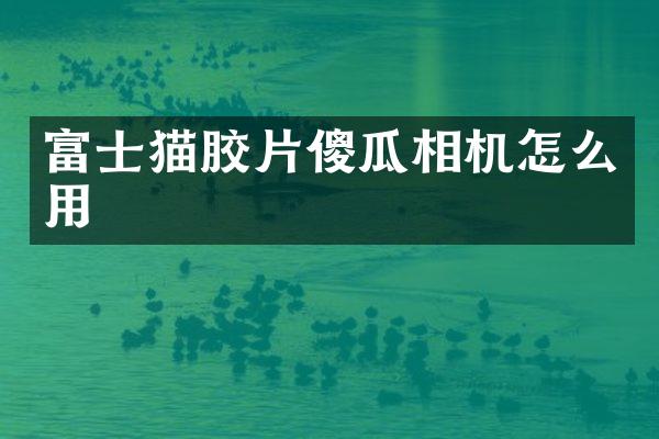 富士猫胶片傻瓜相机怎么用