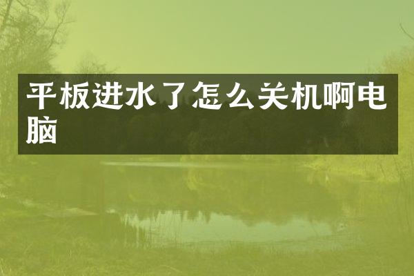 平板进水了怎么关机啊电脑