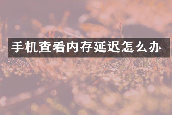 手机查看内存延迟怎么办