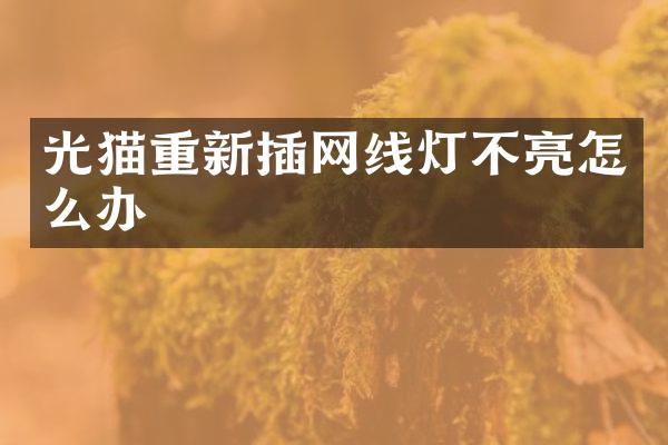 光猫重新插网线灯不亮怎么办