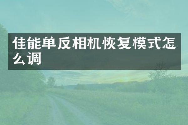 佳能单反相机恢复模式怎么调