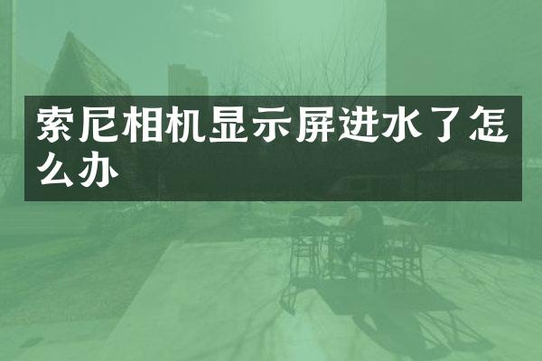 相机显示屏进水了怎么办