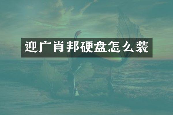 迎广肖邦硬盘怎么装