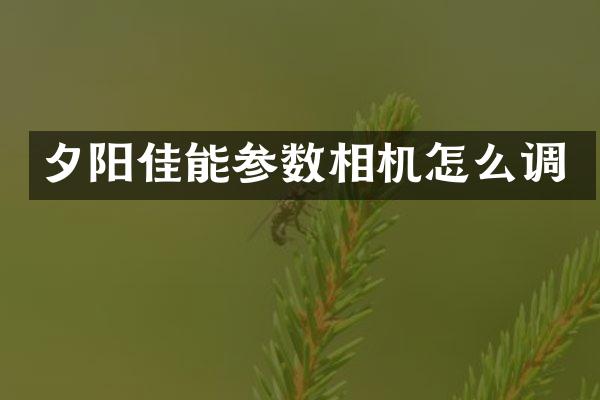 夕阳佳能参数相机怎么调