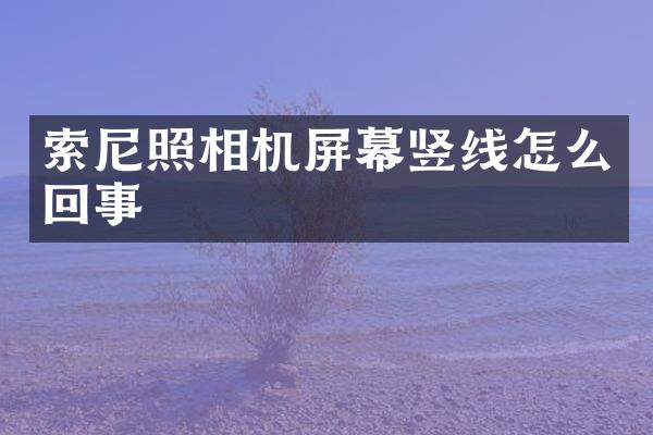 照相机屏幕竖线怎么回事