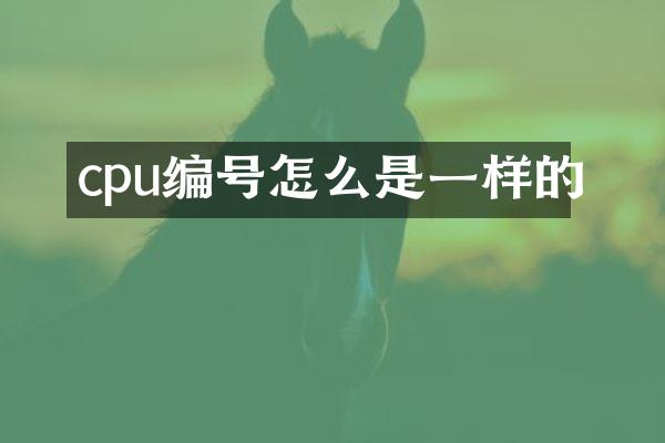 cpu编号怎么是一样的