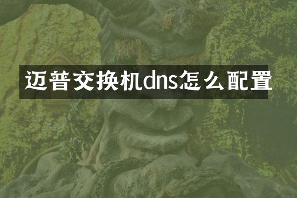 迈普交换机dns怎么配置