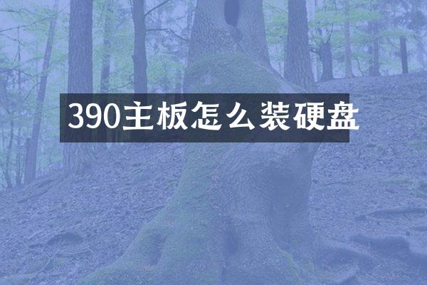 390主板怎么装硬盘