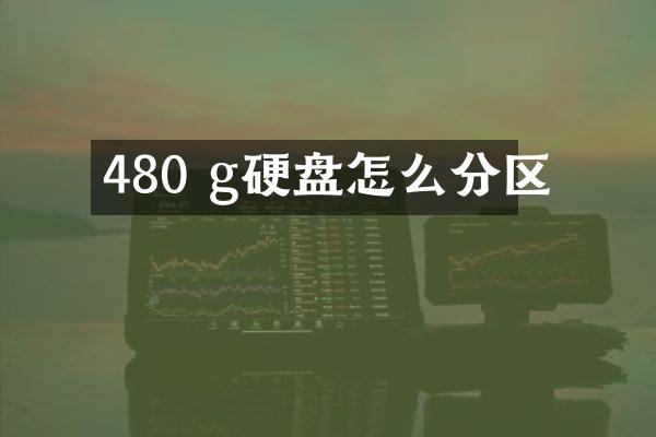 480 g硬盘怎么分区
