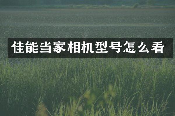 佳能当家相机型号怎么看