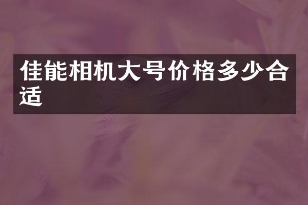 佳能相机大号价格多少合适