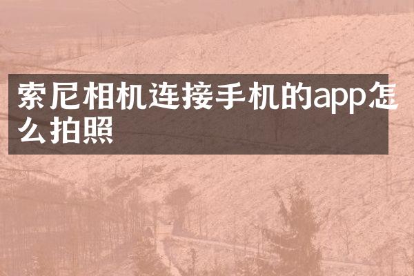 相机连接手机的app怎么拍照