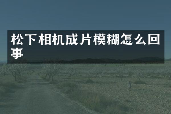 相机成片模糊怎么回事