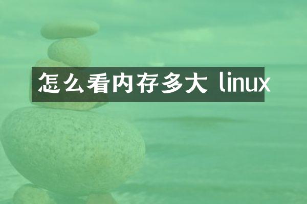 怎么看内存多大 linux
