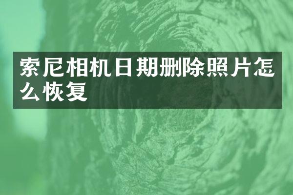 相机日期删除照片怎么恢复