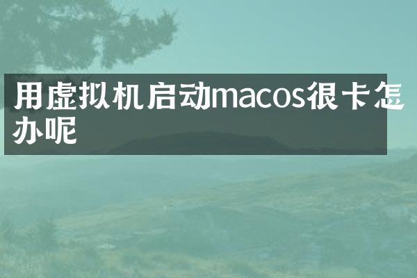 用虚拟机启动macos很卡怎么办呢