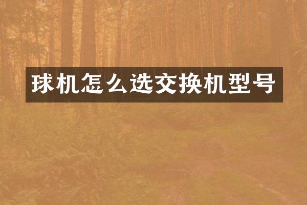 球机怎么选交换机型号