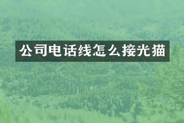 公司电话线怎么接光猫