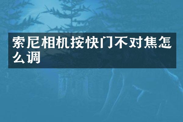 相机按快门不对焦怎么调