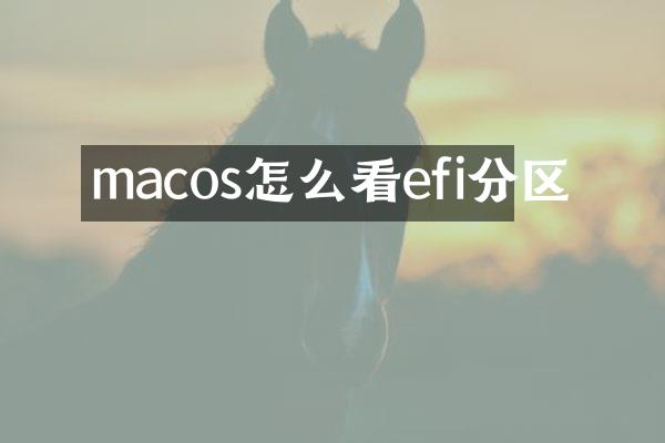 macos怎么看efi分区