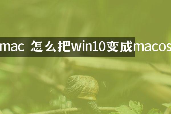 mac 怎么把win10变成macos