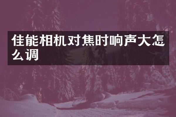 佳能相机对焦时响声大怎么调