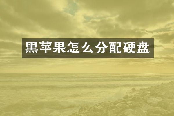 黑苹果怎么分配硬盘
