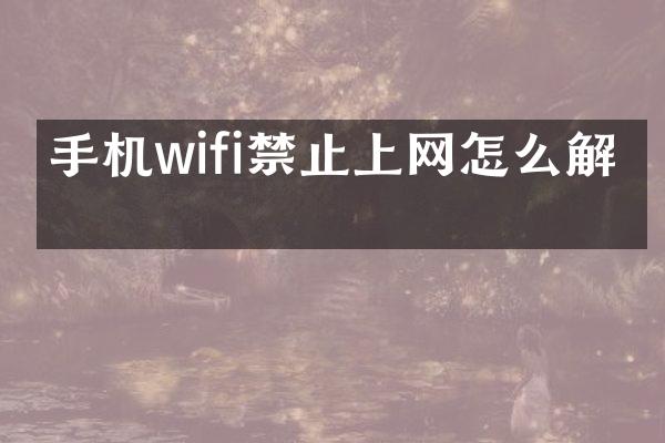 手机wifi禁止上网怎么解开