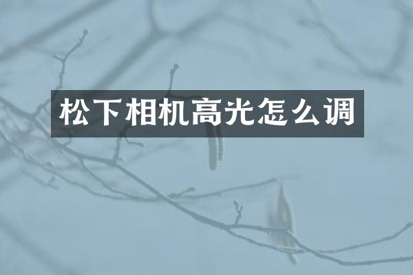 相机高光怎么调