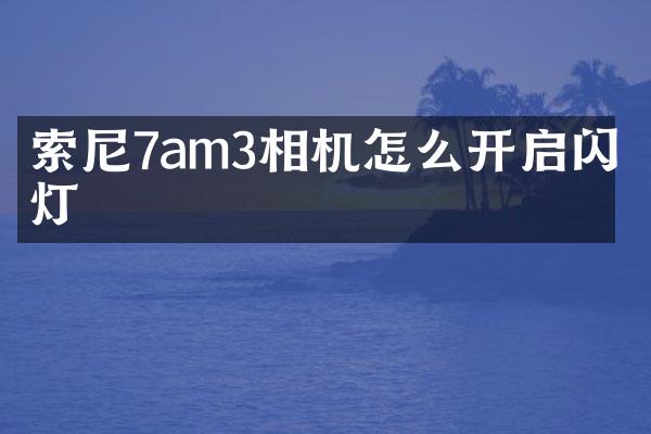 7am3相机怎么开启闪光灯