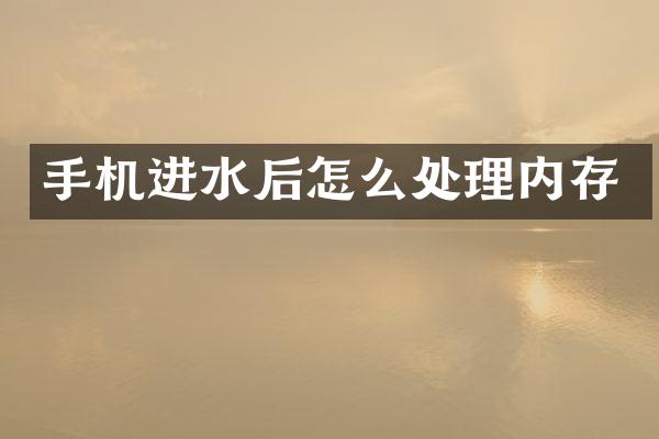 手机进水后怎么处理内存