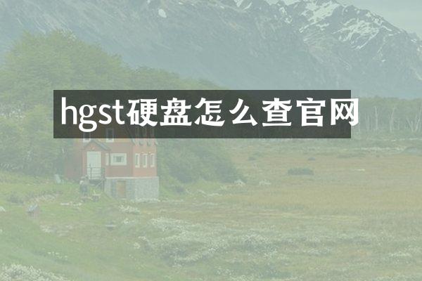 hgst硬盘怎么查官网