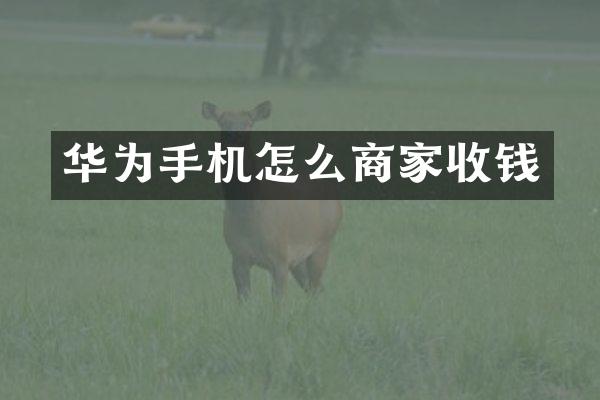 华为手机怎么商家收钱