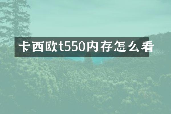 卡西欧t550内存怎么看