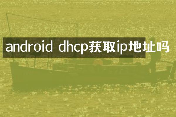 android dhcp获取ip地址吗