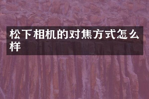 相机的对焦方式怎么样