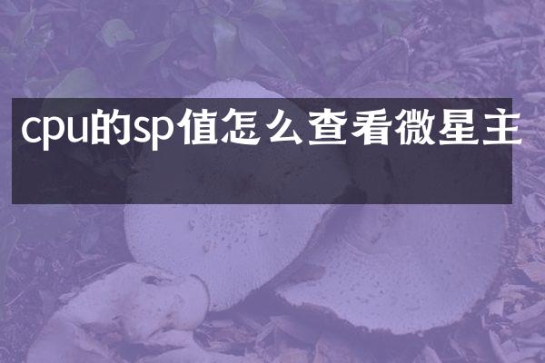 cpu的sp值怎么查看微星主板