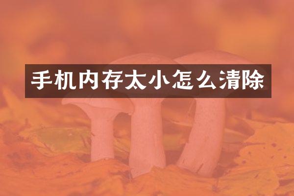 手机内存太小怎么清除