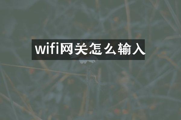 wifi网关怎么输入
