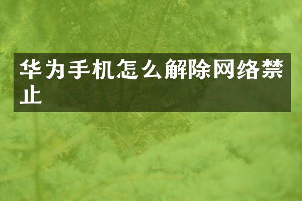 华为手机怎么解除网络禁止