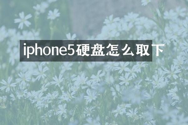 iphone5硬盘怎么取下