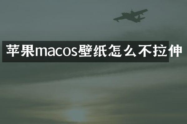 苹果macos壁纸怎么不拉伸