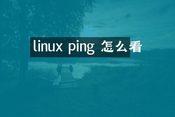 linux ping 怎么看