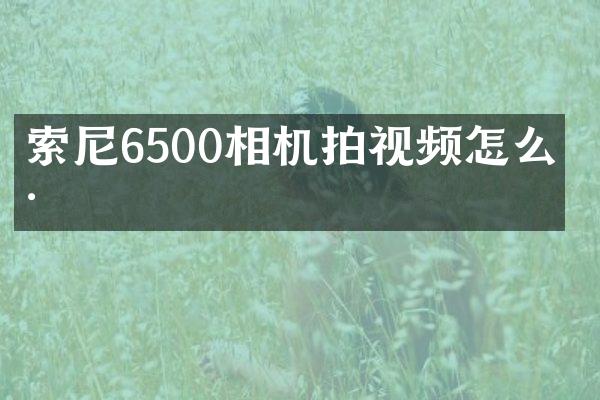 6500相机拍视频怎么样