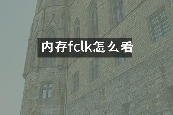 内存fclk怎么看