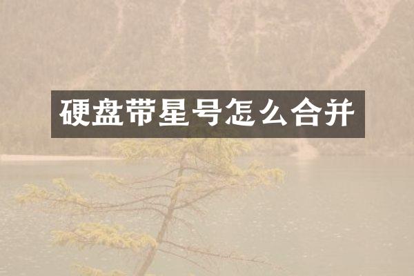 硬盘带星号怎么合并