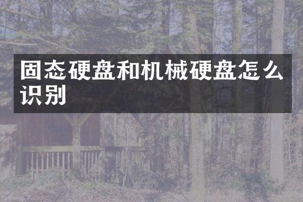 固态硬盘和机械硬盘怎么识别