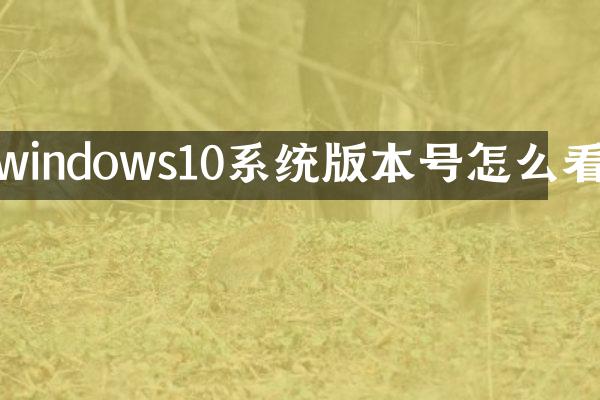 windows10系统版本号怎么看
