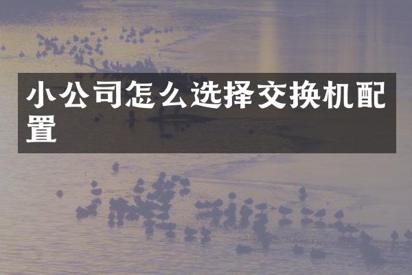 小公司怎么选择交换机配置