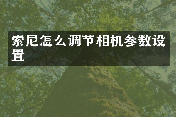 怎么调节相机参数设置